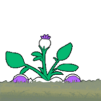 Happy Good Morning Sticker by Magic Eden