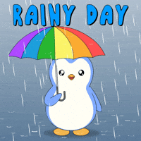 Raining Rainy Day GIF by Pudgy Penguins