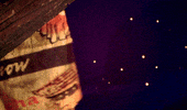 andrew lloyd webber cat GIF by Maudit