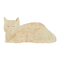 jimohanhee cat 고양이 식빵 지모 Sticker