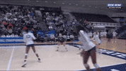 ncaasports ncaa volleyball ncaavb pennstate GIF