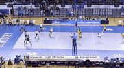 ncaasports ncaa volleyball purdue boilermakers GIF