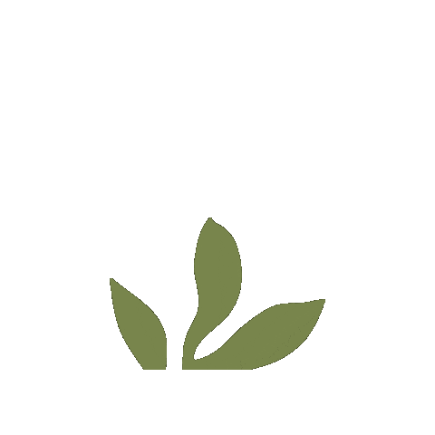 Skincare Waxing Sticker by The Pink Canoe Studio