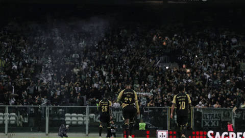 Fans GIF by Sporting CP