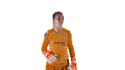 Womens Football Sticker by Barclays FAWSL