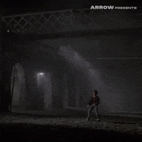 Lucio Fulci Horror GIF by Arrow Video