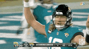 Nfl Playoffs Football GIF by NFL