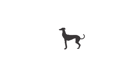 Logo Design Greyhound Sticker by Biggar Gin