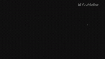 Animated App Ui Essentials