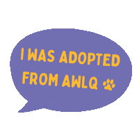 awlqld adopt dont shop awl adopted dog adopted cat Sticker