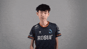 Happy Esports GIF by Rogue