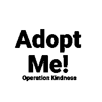 Adoption Adopt Sticker by Operation Kindness