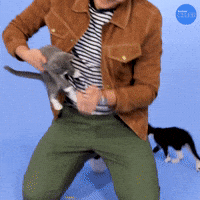 No Escape