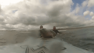 surf dreams GIF by Digg