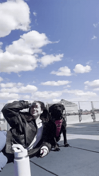 Staffy GIF by Respective