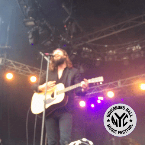 father john misty governors ball GIF by GOVBALL NYC