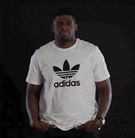 are you serious ice hockey GIF by EASPORTSNHL