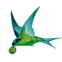 Bird Tops Sticker by Underberg