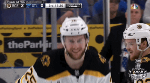 happy ice hockey GIF by NHL