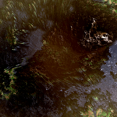 Art Loop GIF by xponentialdesign