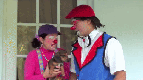 dog clowns GIF
