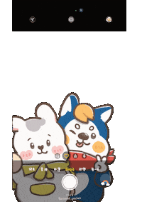 Photo Camera Sticker