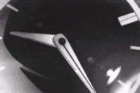 Jojos Bizarre Adventure Jolyne GIF