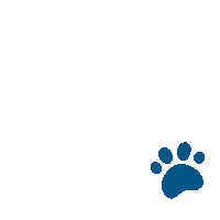 Ucla Bruins Bruin Bound Sticker by UCLA Luskin Undergraduate Program
