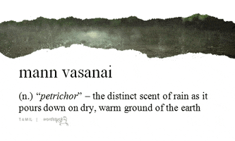 mann vasanai rain GIF