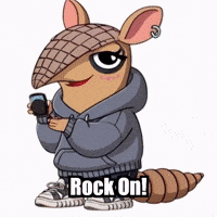 Rock On Concert GIF by Chillo Dillo
