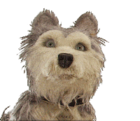 Over There Look Sticker by Searchlight Pictures