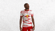 No Way Football GIF by RB Leipzig
