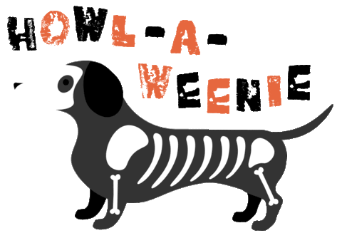 Halloween Sticker by homesalivepets