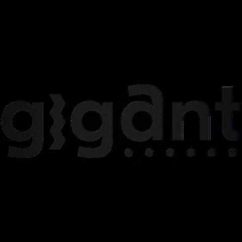 gigantapeldoorn gig apeldoorn gigant gigant apeldoorn GIF