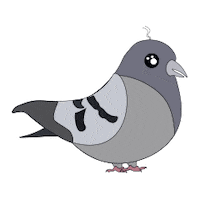 Pidgeon Sticker