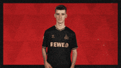 Football Sport GIF by Bundesliga