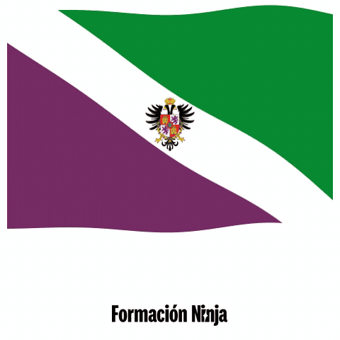 Flag Spain GIF by Formación Ninja