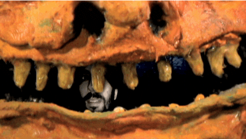 stop motion animation GIF by Charles Pieper