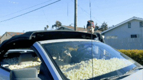 Hungry Sweet Ride GIF by Mega64