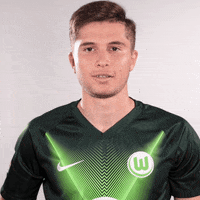 Soccer Bundesliga GIF by VfL Wolfsburg
