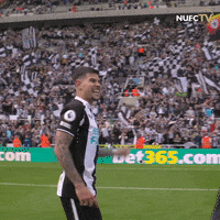 Newcastle United Sport GIF by Newcastle United Football Club
