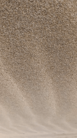 Simongip giphyupload GIF