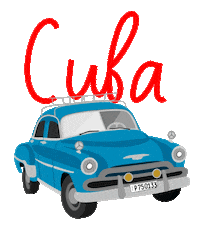 Car Travel Sticker