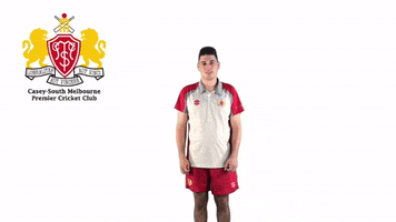 CaseySouthMelbourneCC swans csmcc caseysouthswans GIF