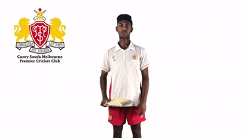 CaseySouthMelbourneCC swans csmcc caseysouthswans GIF