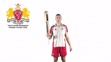 CaseySouthMelbourneCC swans csmcc caseysouthswans GIF