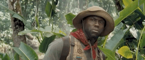 Kevin Hart GIF by Jumanji: The Next Level