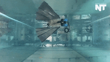breaking news GIF by NowThis 