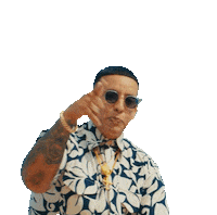 Daddy Yankee Pns Sticker by Play-N-Skillz
