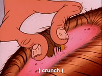 ren and stimpy nicksplat GIF